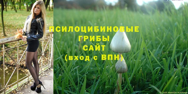 ПСИЛОЦИБИНОВЫЕ ГРИБЫ Алексеевка