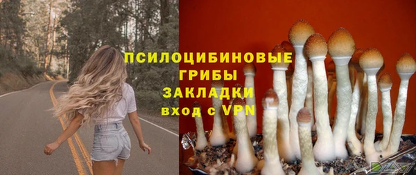 ПСИЛОЦИБИНОВЫЕ ГРИБЫ Алексеевка