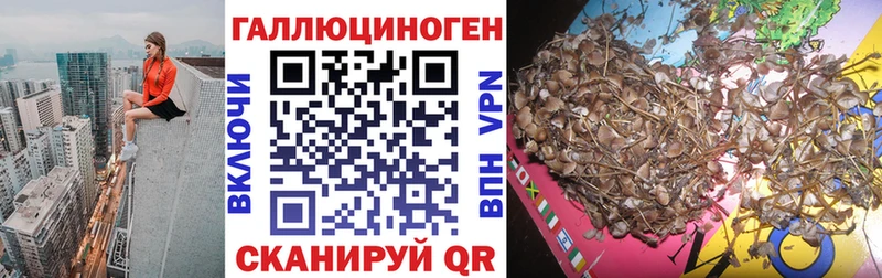 Псилоцибиновые грибы мицелий Далматово