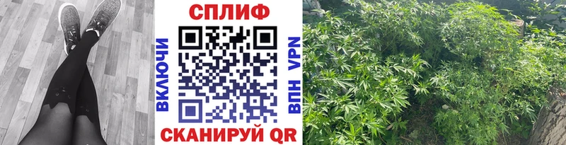 Каннабис ГИДРОПОН Далматово
